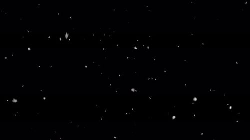 Gentle Falling Snow Loop Overlay Effect