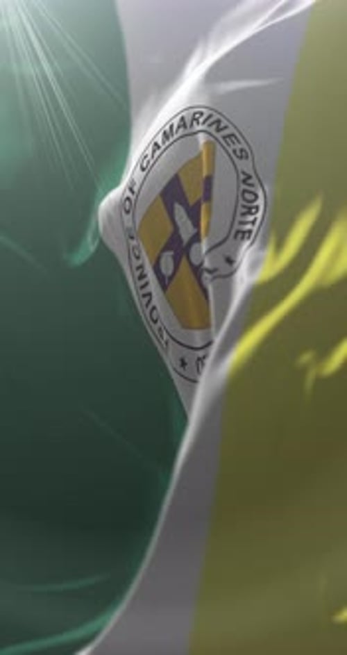Bandera de la provincia de Camarines Norte