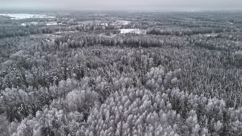 Breathtaking Aerial View of Snow-Covered Winter Forest in Tranquil Setting