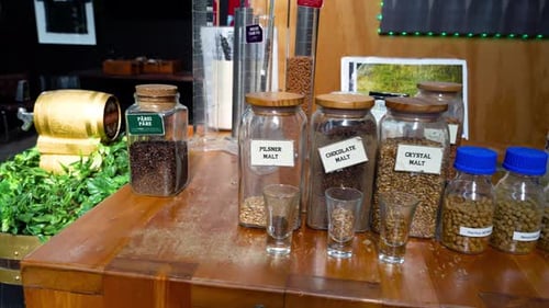 Todos os ingredientes da cervejaria, do malte ao lúpulo.