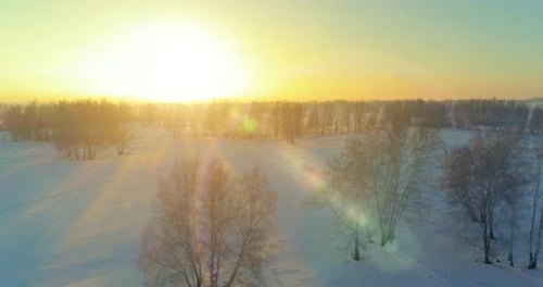 Aerial Drone View of Cold Winter Landscape with Arctic Field Trees Covered with Frost Snow and