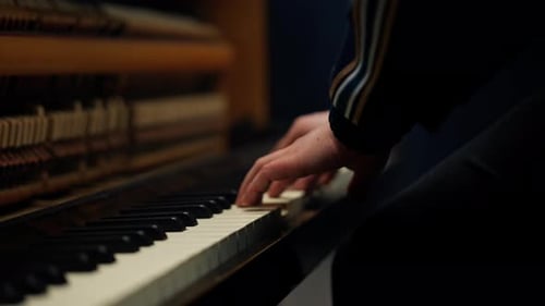 Adult Hands Play Piano Keyboard Close-up