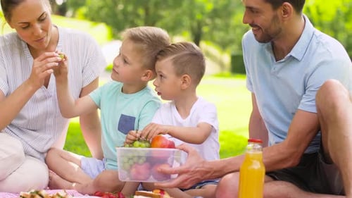 Family Enjoying Picnic in Park on Sunny Day