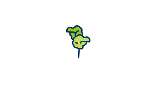 Kale Animated Icon