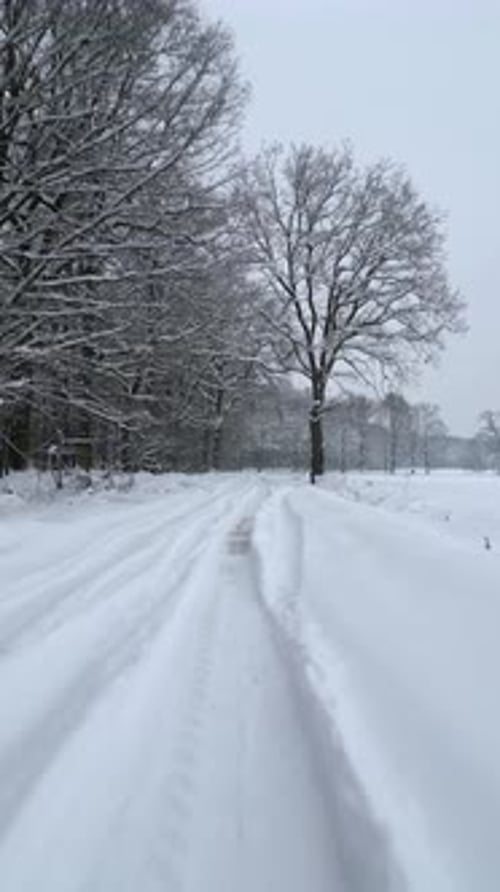 Smooth Flight Over Snowy Country Road in a Cold Winter
