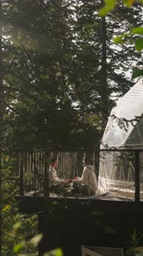 Brides Celebrating Wedding in the Forest