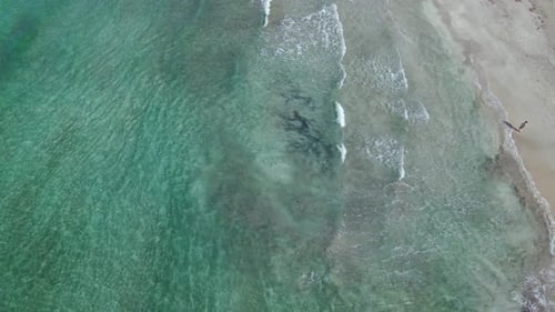 Scenic Birdseye Flyover Beautiful Turquoise Clear Ocean Waves With Sandy Costa Rica Beach Shore, 4K