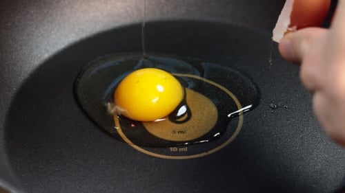 Broken Egg