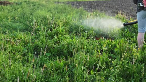 Farmer Applying Herbicide to Control Weeds in a Cultivated Field Using a Hand Held Sprayer to
