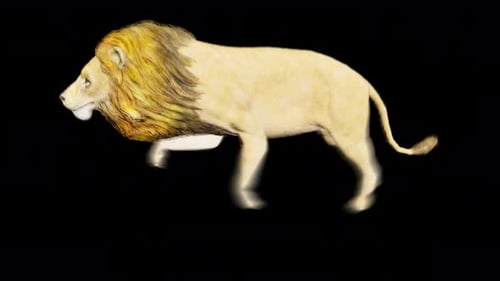 Realistic Render Forest Wild Animal Lion Running Animation On Transparent Background