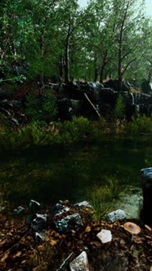 Forest Spring Landscape with Overgrown Pond
