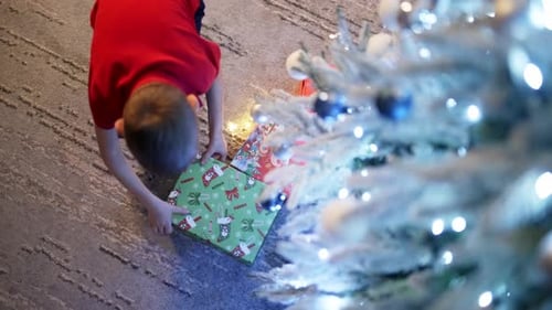 Boy Opens Gift Under Christmas Tree
