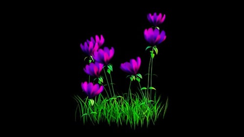 Flowers Blue Blooming Alpha Channel