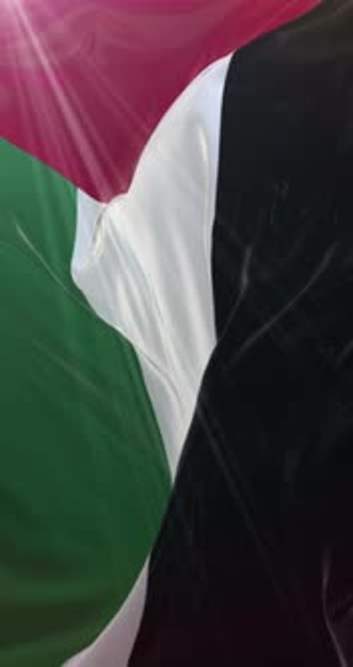 Realistic Waving Palestine Flag Animation in Vertical Format