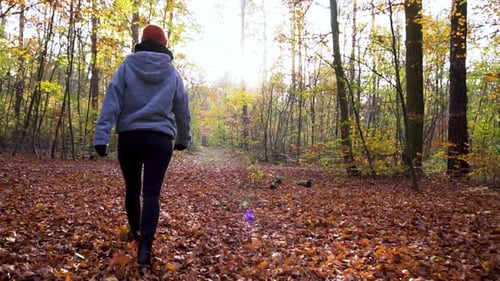 Slow Motion Walk of Young Woman Through Forest full of Autumn Leaves