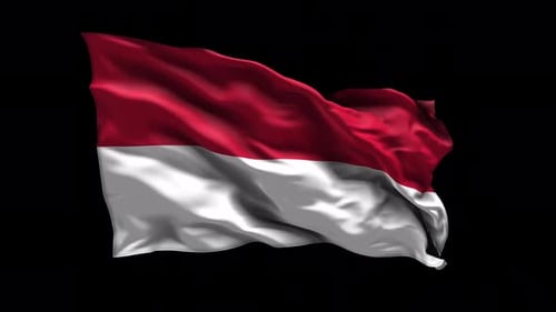 Realistic 3D Waving Flag Animation