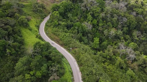 Aerial view of a car driving through a tropical forest in Costa Rica