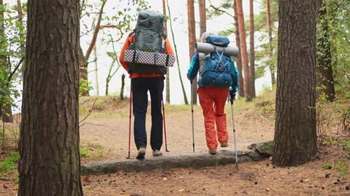 Hiking Tourism Adventure Senior Couple Man Woman Enjoying Outdoor Recreation Hiking in Forest Happy