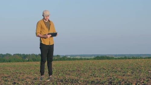 Young Farmer Standing in a Cultivated Field Using a Tablet to Monitor Crop Growth and Analyze