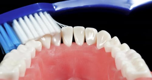Patient at a Dentist Appointment in a Dental Clinic. Inside View of Brushing Teeth Tutorial