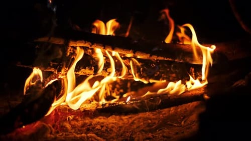 Campfire Flames at Night Burning Wood