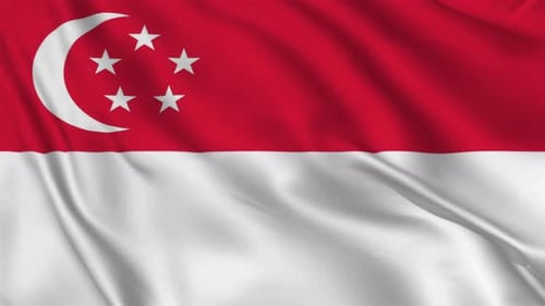 Singapore National Flag Realistic Fabric Waving Loop