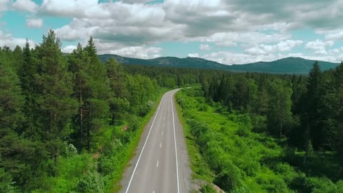 Aerial View of Road Across the Forest on Blue Cloudy Sky Background Scene Straight Long Road Bending