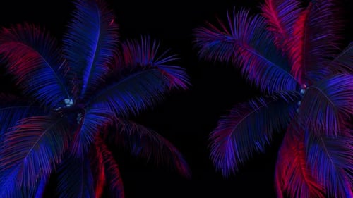 Neon Glowing Palm Trees Swaying Against Black Background