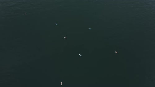 Lots of Subsurfers on the Water Surface