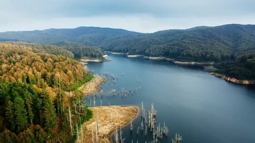 Herbstwald An Einem See