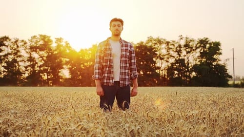 Portrait of Happy Farmer Standing in Ripe Wheat Field and Crossing Arms on Chest Proud Agronomist