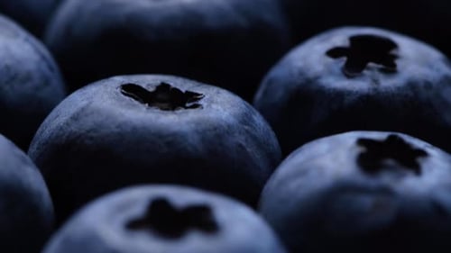 Schuss frischer saftiger Blaubeeren. Fruchtkonzept.