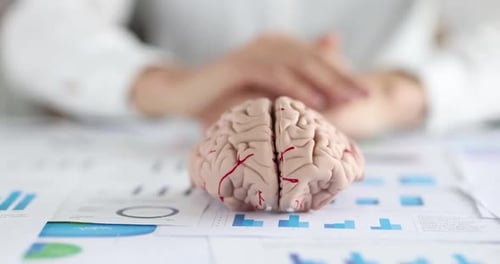 Woman Holds Brain Model Over Statistics, Graphs