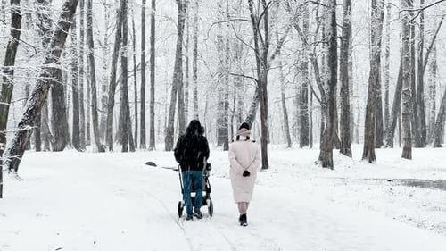 People are Walking in Snow Park Heavy Snow in the Wood Large Flakes of Snow Wild Park Winter Trees