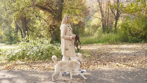 A Beautiful Blonde in a Light Raincoat Walks with Her Beloved Dog in the Park on an Autumn Day