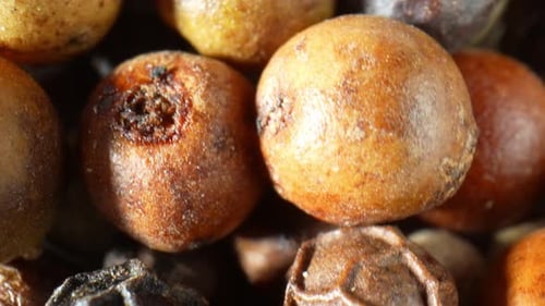 Multi-colored peppercorns with hues of red, green, white, and black.