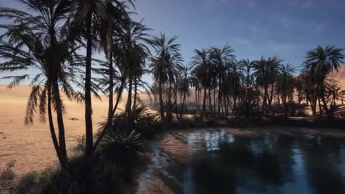 Serene Island Haven with Peaceful Palms Swaying Gently in Breeze