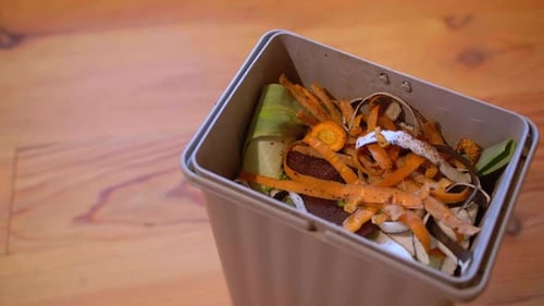 Food waste and vegetable scraps in a compost bin