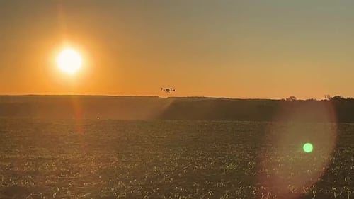 agricultural drone spraying corn field during sunset epic