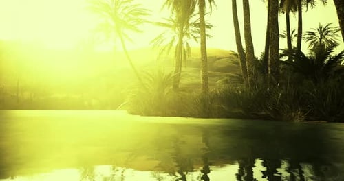 Sunny Desert Oasis with Palm Trees and Water Reflection