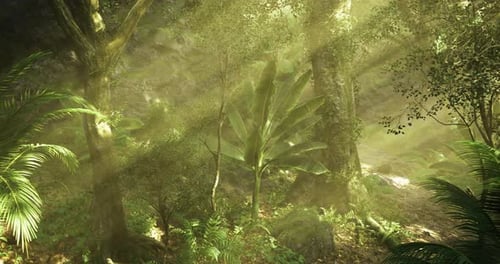 Lush Greenery Illuminated By Sunlight in a Vibrant Forest Setting