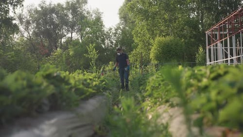 Man Sprays Crops in a Rural Farm Setting