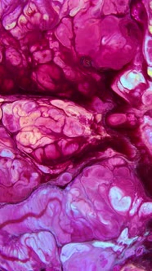 Dreamlike Colors Blending in Abstract Fluid Art