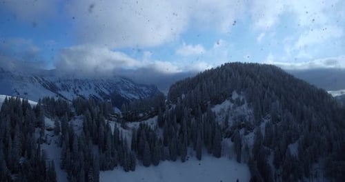 Winter Wonderland Forest Trees Woodland Scenery Outdoors