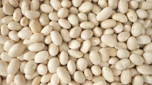 Close up of Nutritious Dried White Beans