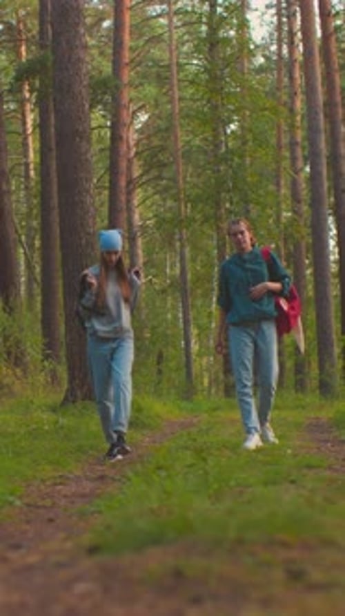 Friends Walking Along Forest Trail Surrounded By Lush Greenery and Playful Moments