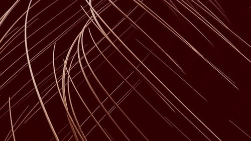 Flowing Abstract Lines Organic Animation