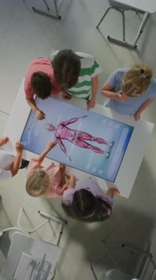 Students in Bright Classroom Work Together Around Interactive Display Showing Anatomy of Human Body