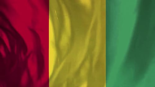 Waving Flag of Guinea Vertical Loop Background