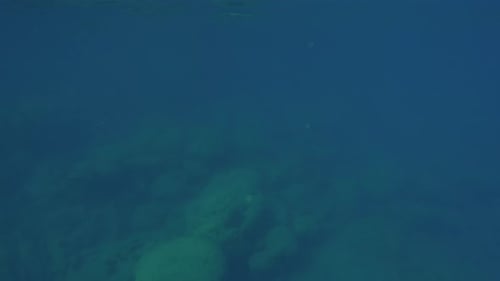Kamera bewegt sich vorwärts in Richtung felsiger Küste, steigt unter Wasser ab und erhebt sich über die Oberfläche
